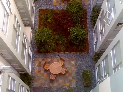 Green Roofs Vs. Solar Panels, San Francisco, CA