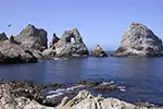 Environmentalists fear Farallones Endangered by Federal Cutbacks