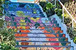 Sisterhood Gardens is the New Place to Visit in San Francisco