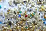 The Collapse of Insects