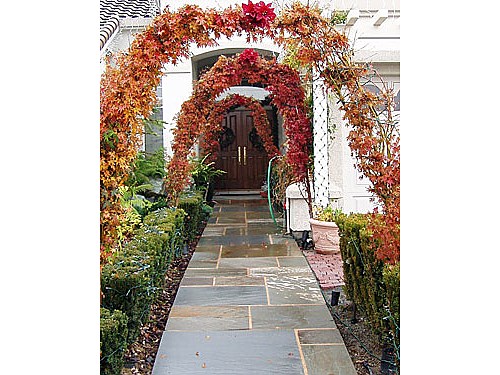 Arbor