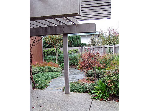 Garden Path This path is planted with manzanita that requires some shade.