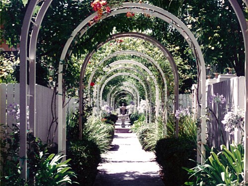 Arbor This rose arbor provided a pleasant scent and lots of color for an entrance into numerous apartments.