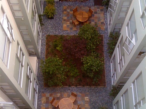 Roof Garden The mound in the roof garden, provides privacy between two separate sitting areas, providing privacy.