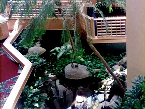 Water Feature This indoor water feature brought the outdoors indoors.