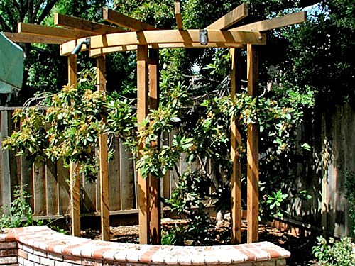 Arbor The beam required to mimic the curve of the rounded brick seat wall is made of laminated bender board.
