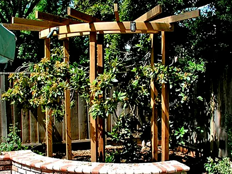 Decks & Arbors